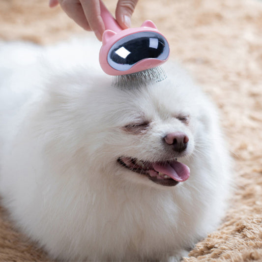 Peine para mascotas, productos de limpieza para quitar el pelo
